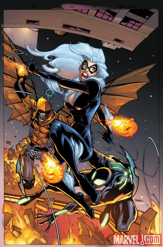 Image Featuring Black Cat