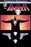 Punisher (2001) #20