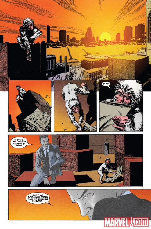 HIT-MONKEY #2 preview art by Dalibor Talajic