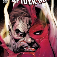 Amazing Spider-Man (1999) #627