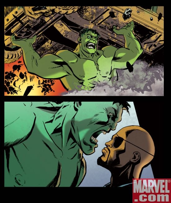 HULK: THE FURY FILES #1