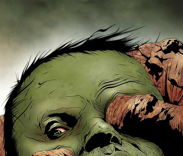 HULK & THING: HARD KNOCKS (2005) #4 COVER