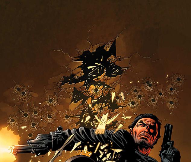PUNISHER VS. BULLSEYE (2008) #5 COVER