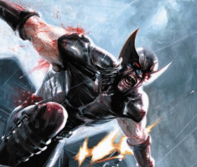Image Featuring Domino