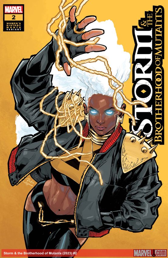 Storm & the Brotherhood of Mutants (2023) #2 (Variant)