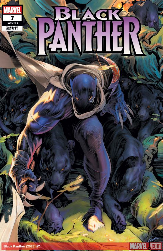 Black Panther (2023) #7 (Variant)