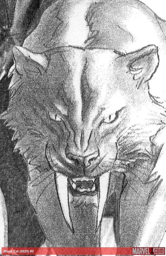 Black Cat (2025) #2 (Variant)