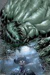 Incredible Hulk (1999) #70