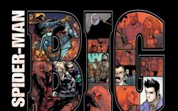 Amazing Spider-Man (1999) #649, 2nd Printing Variant