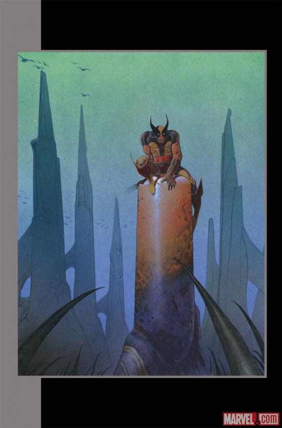 Wolverine by Moebius