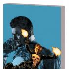 THE PUNISHER BY GREG RUCKA VOL. 3 TPB