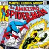 Amazing Spider-Man (1963) #193 Cover