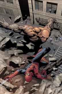 Marvel Knights Spider-Man (2004) #15