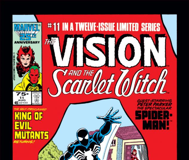 Vision and the Scarlet Witch (1985) #11 Cover