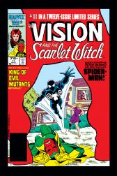 Vision and the Scarlet Witch #11 