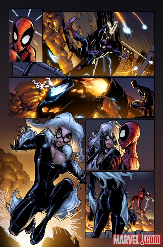Image Featuring Black Cat