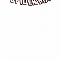 Amazing Spider-Man #648 Blank Cover Variant