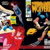 Marvel Comics Presents #63