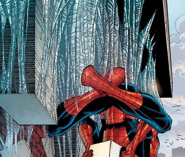 AMAZING SPIDER-MAN FAMILY #3
