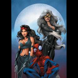 ULTIMATE SPIDER-MAN (2003) #52 COVER