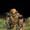 Wolverine Origins (2006) #37