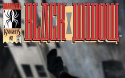 Black Widow: Breakdown (2001) #2