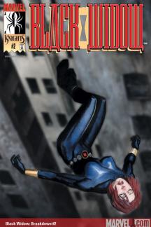 Black Widow: Breakdown (2001) #2