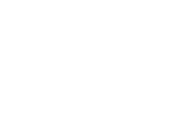 Wolverine Detail