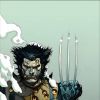 Fallen Son: Wolverine