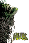 Incredible Hulk (1999) #63