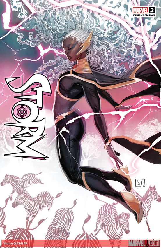 Storm (2024) #2 (Variant)