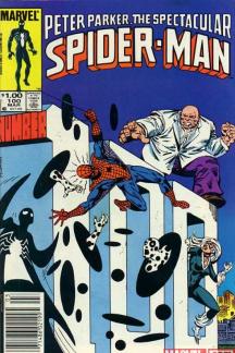 Peter Parker, the Spectacular Spider-Man (1976) #100