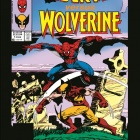 Spider-Man Vs. Wolverine #1