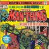 MAN-THING #19