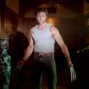 Wolverine in the spotlight