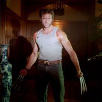 Wolverine in the spotlight
