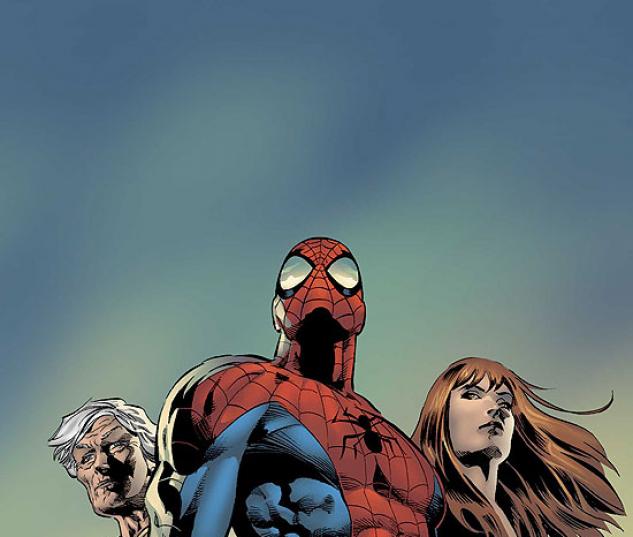AMAZING SPIDER-MAN (2007) #519 COVER