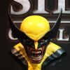 Wolverine bust from Sideshow Collectibles