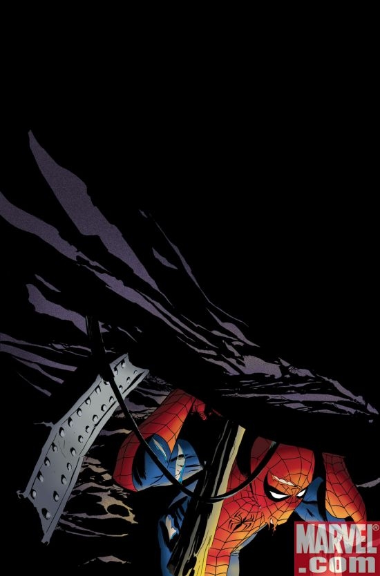 AMAZING SPIDER-MAN #578 cover by Marcos Martin