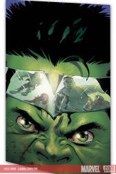 Hulk: Wwh - Gamma Corps (Trade Paperback)