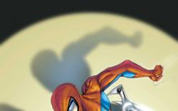SPIDER-MAN/DOCTOR OCTOPUS: OUT OF REACH (2003) #3 COVER