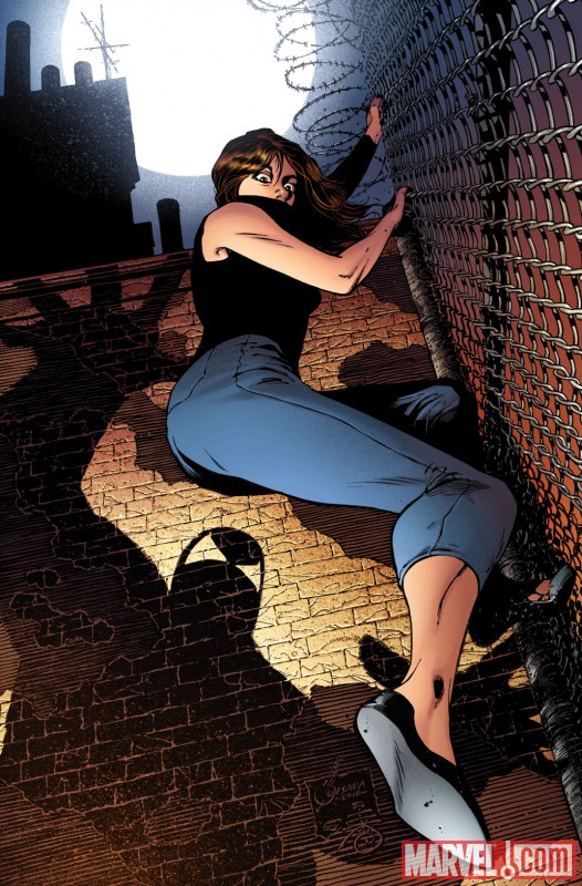 Amazing Spider-Man #640 variant by Joe Quesada