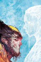 Wolverine #317 