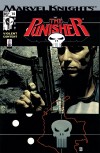 Punisher (2001) #14