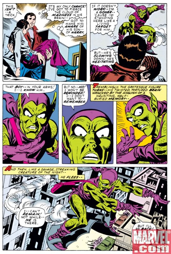Spider-Man and Green Goblin