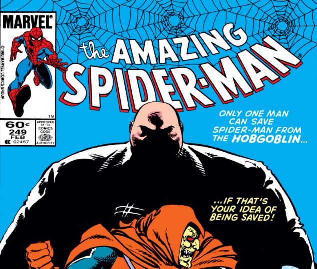 Amazing Spider-Man (1963) #249 Cover