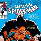 Amazing Spider-Man (1963) #249 Cover