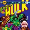 INCREDIBLE HULK (2009) #202 COVER