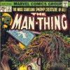 MAN-THING #12