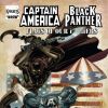 CAPTAIN AMERICA/BLACK PANTHER: FLAGS OF OUR FATHERS #2 cover by Denys, Janson and White